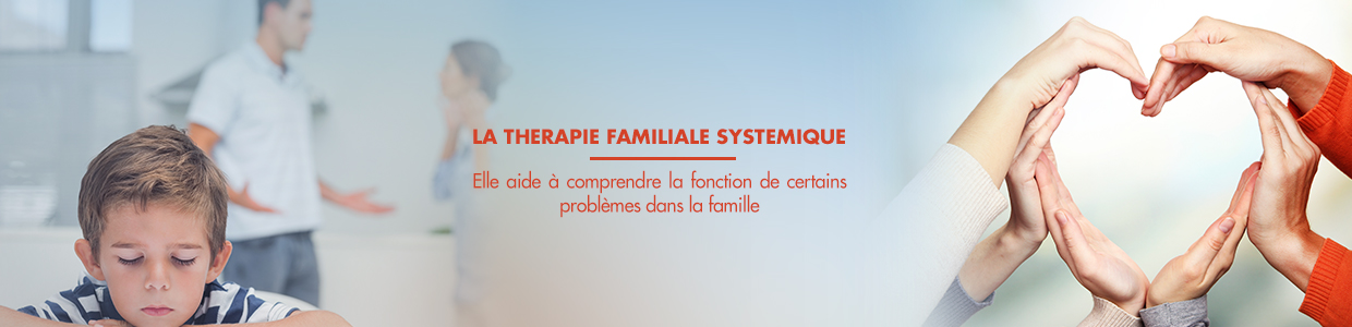 La Thérapie Familiale Systémique